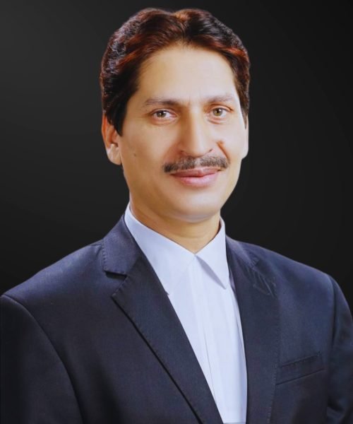 best advocate in tis hazari court