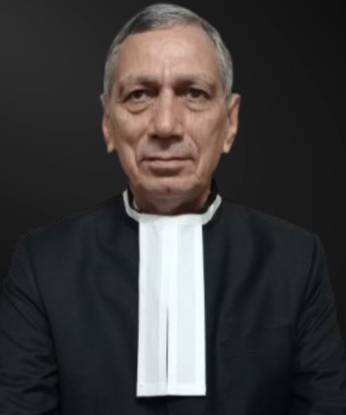 best advocate in tis hazari court